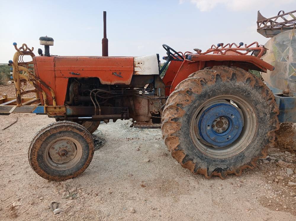 حلب